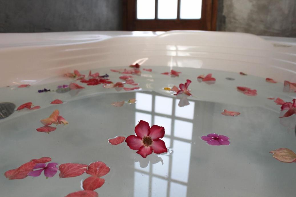 Hotel Breathe Healing & Wellness à Cambutal Extérieur photo